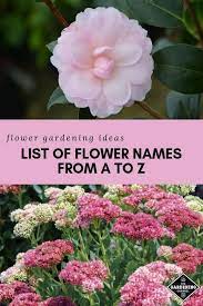 List Of Flower Names From A To Z Gardening Channel Flowers Name List Flower Names Flowers Perennials
