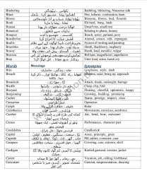 Pin On Meanings