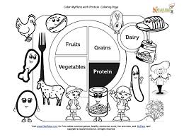 All you need is photoshop (or similar), a good photo, and a couple of minutes. Color My Plate With Protein Coloring Page Kids Nutrition Coloring Pages Nutrition