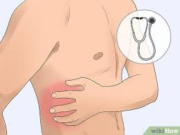 The human rib cage is a component of the human respiratory system. Simple Ways To Heal A Rib Muscle Strain With Pictures Wikihow