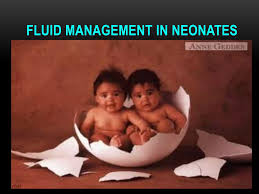 Image result for Neonatal Fluid Management
