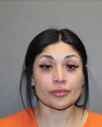REYES, MICHELLE Status: CURRENTLY BOOKED Sex: F Height: 505 Weight: 148  Address: REDACTED Arrest Date: 03/21/2025 -- LEVELLAND PD 1 49.04 DRIVING  WHILE INTOXICATED E0025567F-01 1 CLASS C MORALS AND DECENCY CLASS
