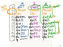 relative pronoun chart latin showme