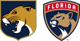Currently over 10,000 on display for your. Download Florida Panthers Logo Springfield Thunderbirds Logo Png Full Size Png Image Pngkit