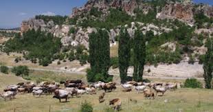Midas City Various Views Of The Rocky And Barren Countryside Sorrounding The Plateau Photo By Author