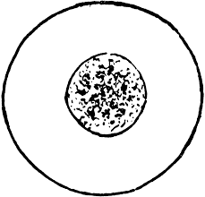 We did not find results for: 6 Cell Clipart Preview Blood Cell Clipar Hdclipartall