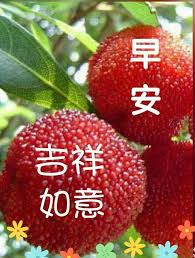 pin by 浮中on 早安 福 good morning greetings morning greeting good morning wishes