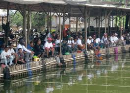 Independent Friendly Match No Jersey No Product Sponsor No Community Kabar Mancing