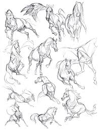 Graphite Dragons Horse Drawings Animal Drawings Horse Art Drawing