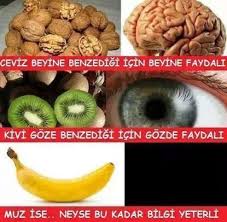 Azərbaycan Gəncləri Sehifesine Xoş Geldiniz!: Gülmeli Şekiller
