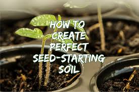 You'll need worm castings add minerals and do not contain harsh fertilizers.did you know that seedlings do not need fertilizer until the true leaves appear, which are actually the second set of leaves. How To Create The Perfect Seed Starting Soil With One Secret Ingredient