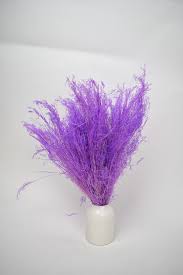 Image result for Agrostis products