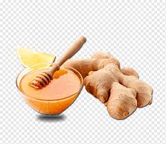 All images is transparent background and free download. Ginger Tea Common Cold Pungency Food Health Honey Ginger Honey Bee Eating Ginger Tea Png Pngwing