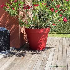 Quelques incontournables en fleurs en hiver. Grand Pot De Fleurs Xxl En Plastique Recyclable Tarpin Chavet