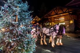 Image result for big bear village christmas lights