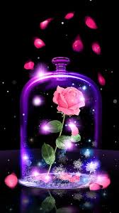 free beauty or beast wallpaper for your phone free beauty or beast wallpaper for your