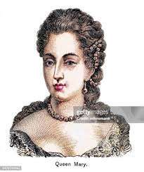 730 Female Body Diagram Stock Photos, High-Res Pictures, and Images