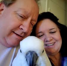 It's international nurses day today. Being a palliative care nurse myself I  would like to send a hug to all nurses across the world, and I want to  thank Barry for his