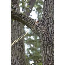 Professional High Limb Rope Chainsaw 48in Model Cs 48 In 2021 Tree Saw Hand Chain Saw Tree Trimming Tips
