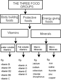 About 0% of these are fish, 0% are food additives, and 0% are fruit & vegetable juice. Lesson 4 Protective Foods Wikieducator