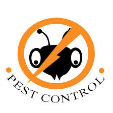 Hometeam pest defense exceptional service your strongest defense. Pest Control Logo 20 Templates And Stunning Logo Designs From Professional Designers Template Sumo Pest Control Logo Pest Control Flea Prevention