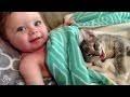 Baby Can't Stop Petting His Little Kitten
