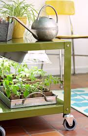 Guide To Plant Grow Lights Better Homes Gardens
