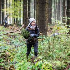 Plant For The Planet Hands On Activity Rotaract Club Ilmenau Rotaract Rotary Plantfortheplanet Ilmenau Thueringen Pinterest
