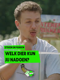 Kun jij een kalkoen nadoen? 🦃
