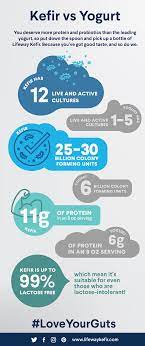Kefir Vs Yogurt What S The Difference