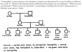 Solved 7 Hemophilia A And Red Green Color Blindness In H