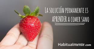 Como Puedes Saber Si Tu Comes Bien O Mal
