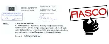 Fata Morgana Codului Silvic Funcţiile De Protecţie Ale Pădurilor Nostra Silva