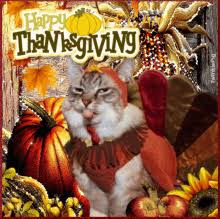 Download these amazing cliparts absolutely free and use these for creating your presentation, blog or website. Happy Thanksgiving Cat Gifs Tenor