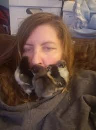 I would greatly appreciate pics of others set up of nest boxes. Looking for  cheap and efficient ways to do this. Need ideas 💡 pic for tax