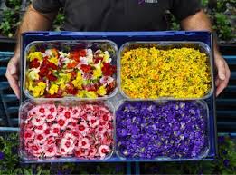We use premium icing sheets in a printer specifically prepared for food use and edible ink. Sainsbury S Launches Edible Flowers Into Fresh Herbs Fixture News The Grocer