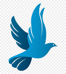 Dove Funeral Soul Icon White Dove Logo Free Transparent Png Clipart Images Download United states creature photographer photography art. dove funeral soul icon white dove