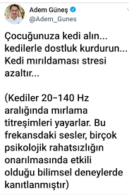 Nermin Hacieminoglu Adli Kullanicinin Kucuk Melekler Panosundaki Pin Mizah Alintilari Ebeveynlik Ebeveyn Olmak