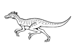 Coloring Page Velociraptor Img 9376 Dinosaur Coloring Dinosaur Coloring Pages Super Coloring Pages