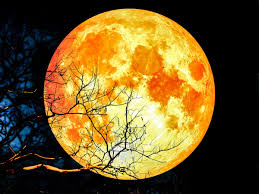 Our name means full moon in german and so chosen for the love we have for nature and animals. Wann Ist Vollmond September 2020 Und Welche Bedeutung Hat Er