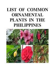 The floriculture industry in the philippines has marked its presence in the field. List Of Common Ornamental Plants In The Philippines Trees Plants