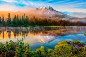 Бизнес в вашингтоне учёба в. Vashington Shtat Luchshie Kurorty Ssha Poisk Poputchikov S Triplook