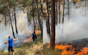 Συνεχίζεται η μάχη με τις φλόγες στο δάσος του σκρα στο όρος πάικο του κιλκίς. M71fpsamhxsuqm