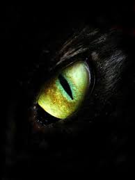 Dwarven Diaries The Night Sky Dragon Eye How Train Your Dragon Dragon
