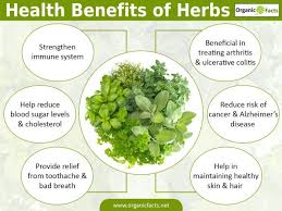 Perspicuous Healing Herbs Chart Psoriasis Food Chart Foods