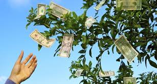 Image result for money tree