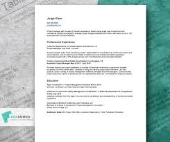 Crafted with great attention to details. A Project Manager Resume Example That Will Help You Craft Your Best Job Application Freesumes