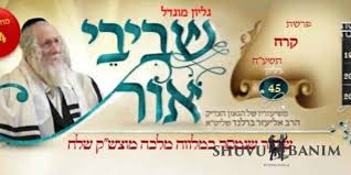 פשט, רשי ושפתי חכמים לפרשת בלק. ×©×'×™×'×™ ××•×¨ ×¤×¨×©×ª ×'×œ×§ ×ª×© ×¤ ×©×•×'×• ×'× ×™×