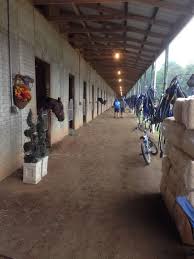 View Of Barn 6 Harness Racing Standardbred Horse Race Track