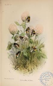Pin On Nature S Inspirations